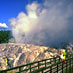 Pohutu Geyser in Rotorua  - click for more.