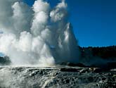 Pohutu Geyser, Whakarewarewa, Rotorua - click for more.