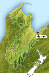 NELSON