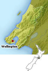 WELLINGTON