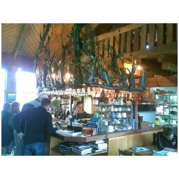 fleurs_bar_area_moeraki_01