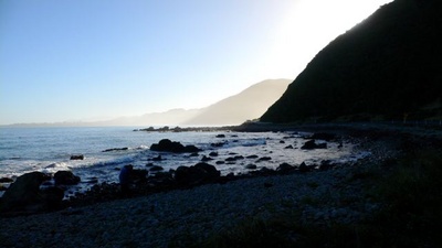 Kaikoura Coast courtesy of Harry Ruffell