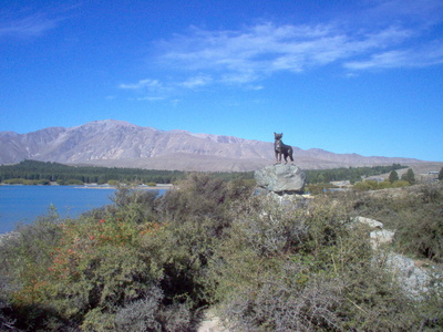 monument_to_working_sheep_dogs_in_tekapo_2_400
