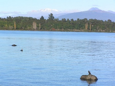 Mt Ruapahu in the background of Lake Taupo by Tony Sutherland