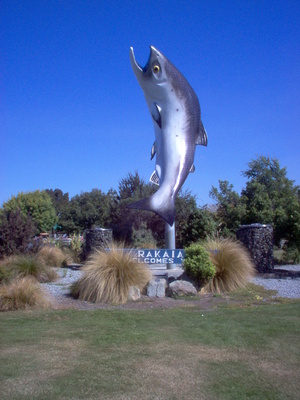 rakaia_big_salmon_400