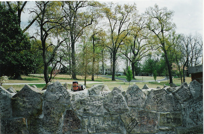 Speights Cans on the walls of Elvis's home, Graceland, Memphis, USA 