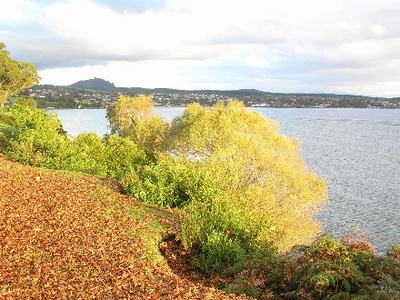 South end of Lake Taupo by Tony Sutherland