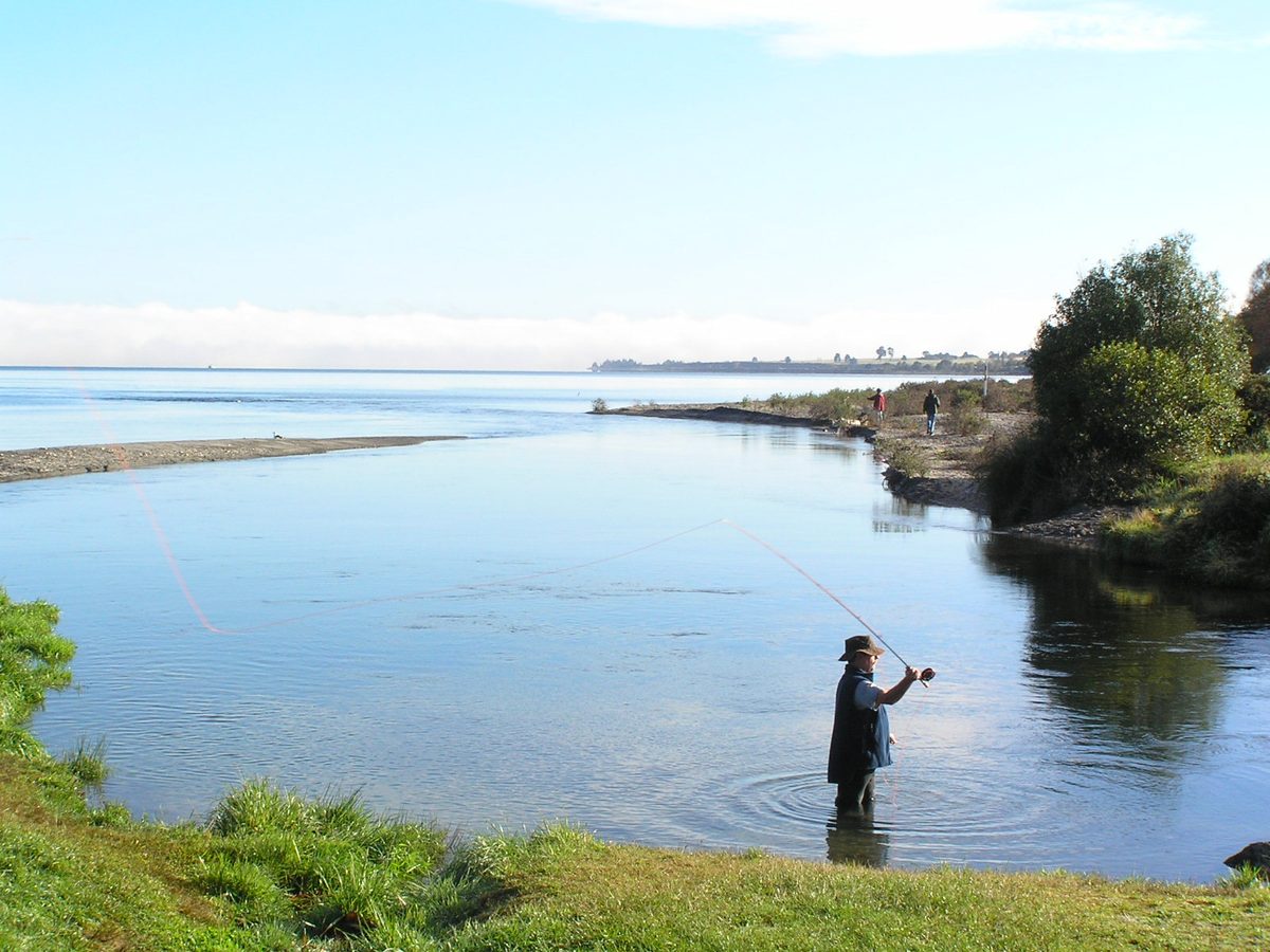 Fly fisherman casting in the shallows near Lake Taupō New Zealand