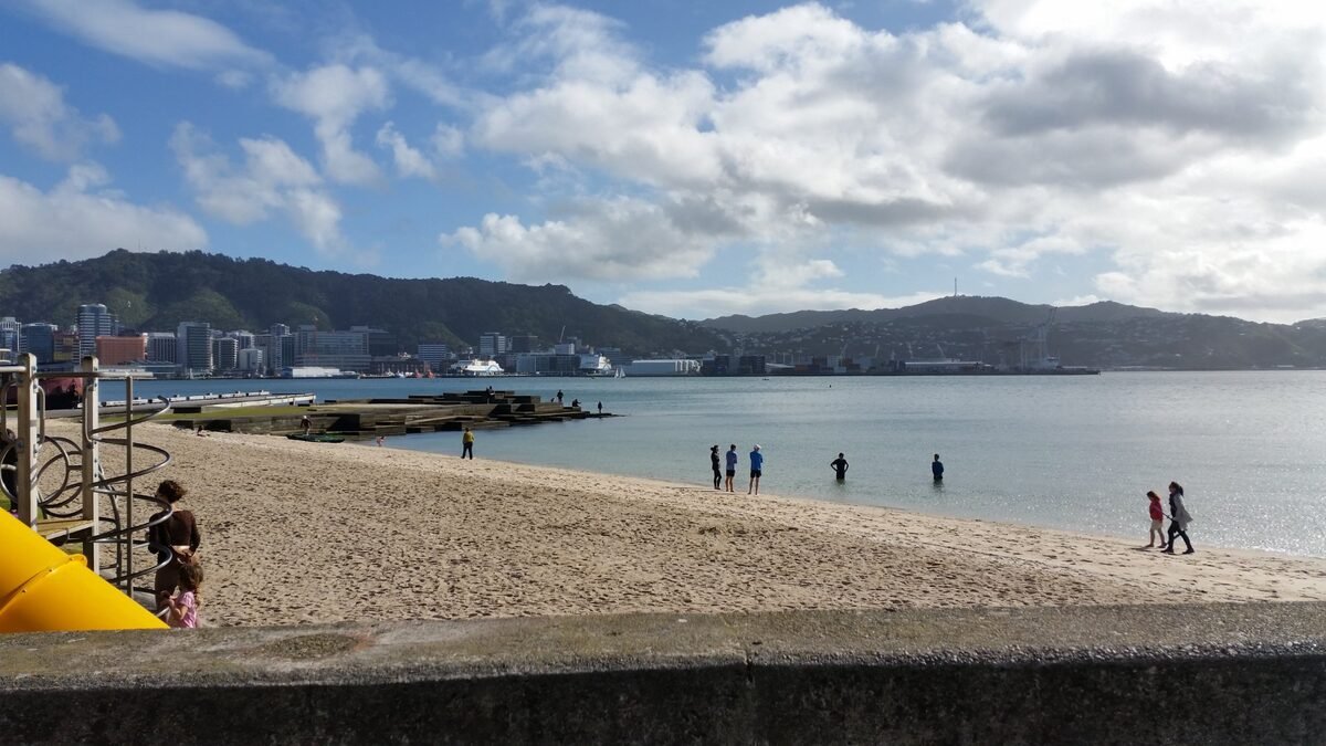 Wellington waterfront beach with people swimming and city skyline behind
